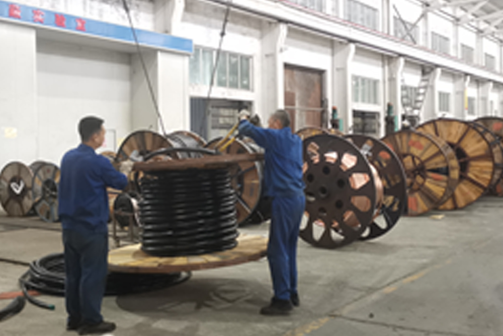 保进度 鸽牌 公司2.jpg 保进度 鸽牌 公司2.jpg